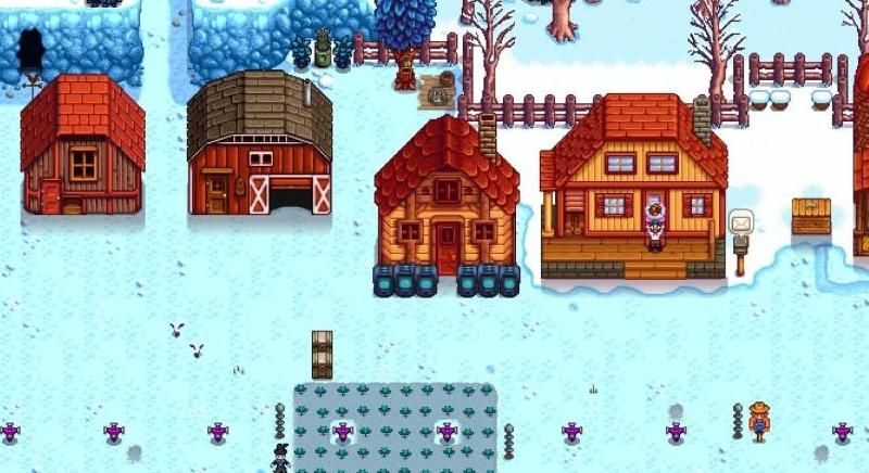 星露谷物语冬天种什么树