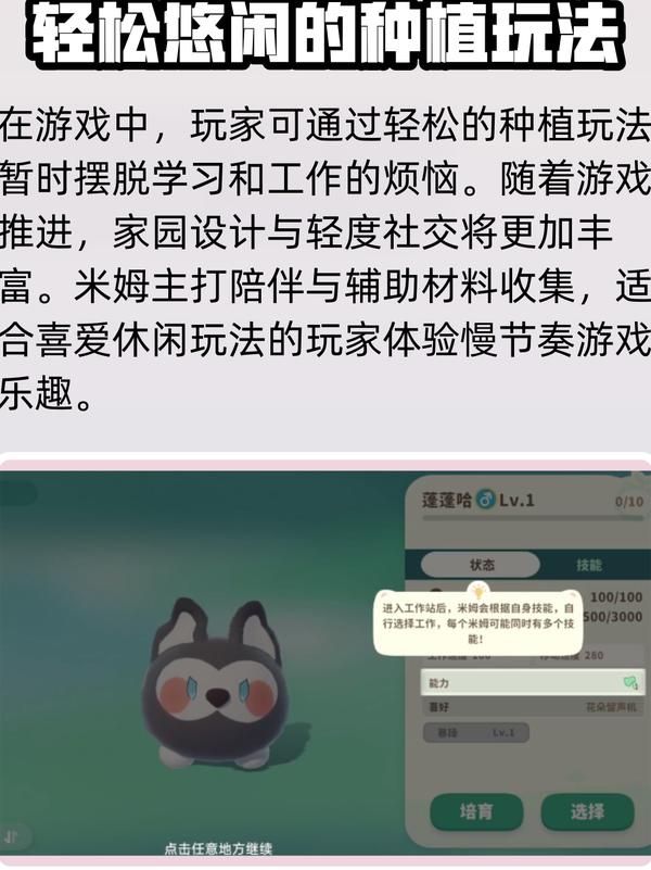 米姆米姆哈怎么升星