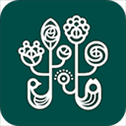 野兽派app